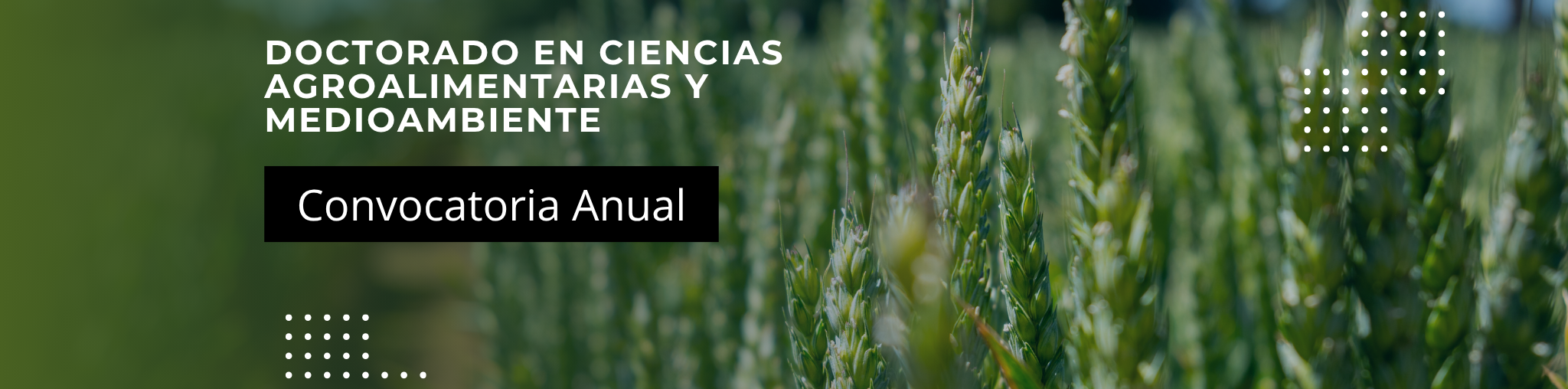 doctorado en ciencias agroalimentarias y medioambiente (1)