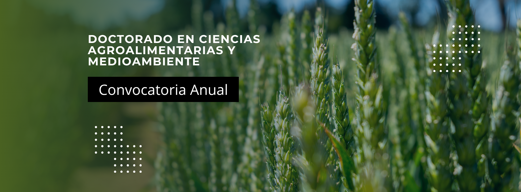 doctorado en ciencias agroalimentarias y medioambiente (1)